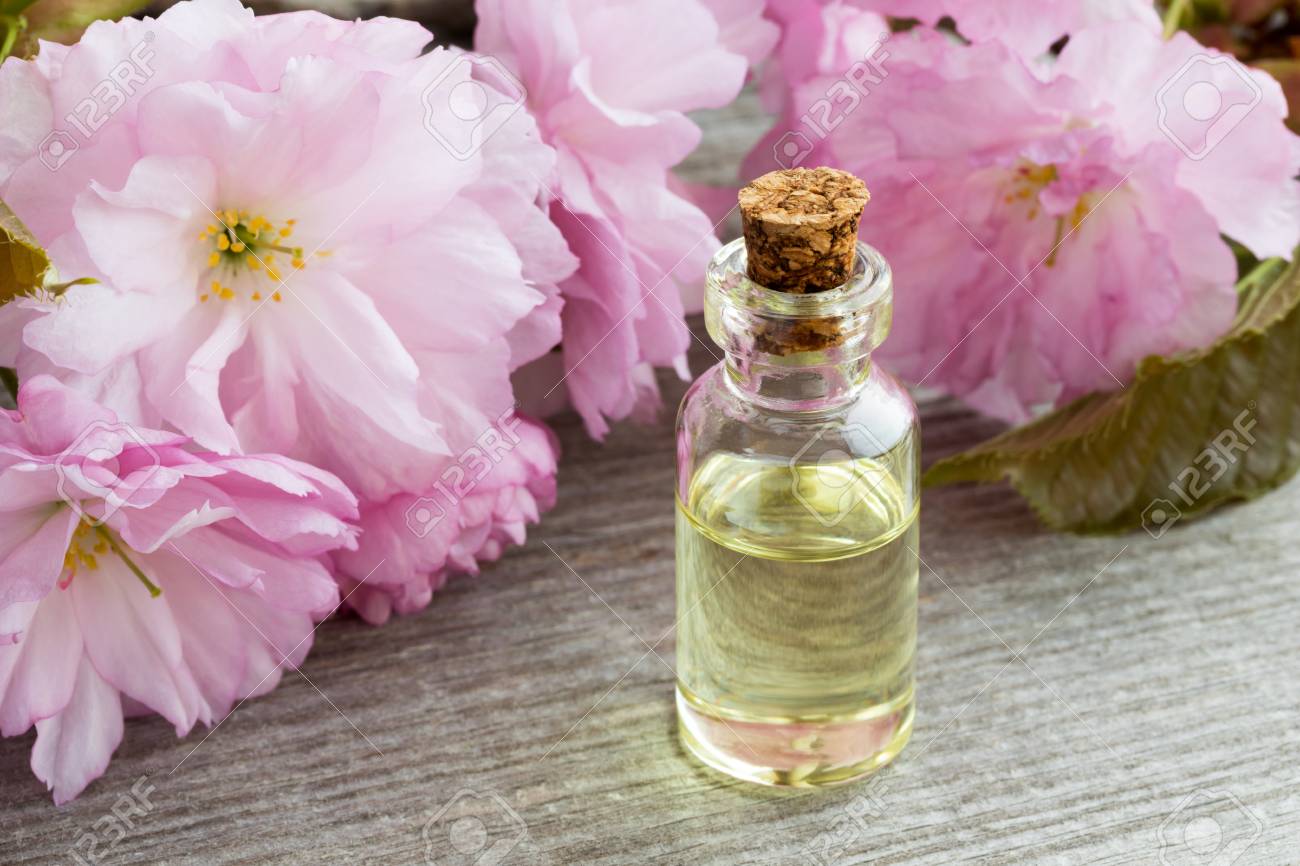 Japanese Cherry Blossom Oil – Sahara Shops